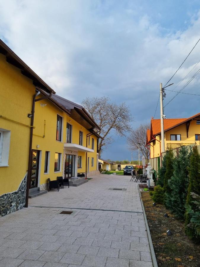 Izabella Guest House Sacele Exterior photo