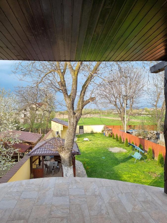 Izabella Guest House Sacele Exterior photo